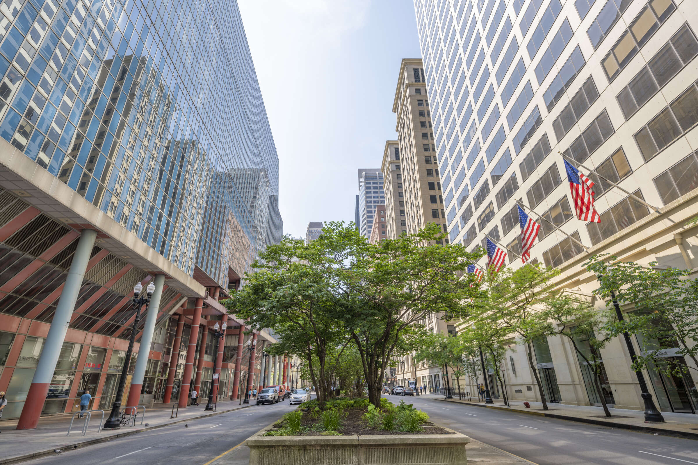 image of tree and tall reflective buildings